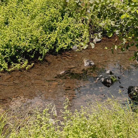 Dom wakacyjny Casa Penafalcao