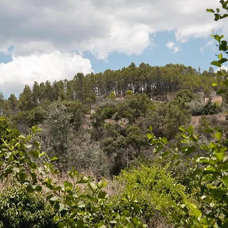 Tatil Evi Casa Penafalcao Castelo Branco (Centro)