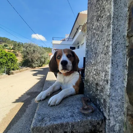 Prázdninový dům Casa Penafalcao