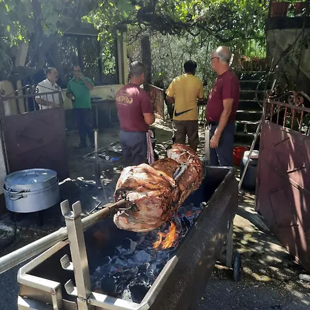 Casa Penafalcao * Castelo Branco (Centro)