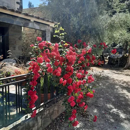 Casa Penafalcao Tatil Evi Castelo Branco (Centro)