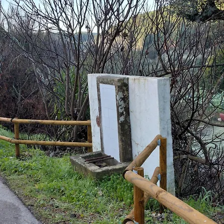 Casa Penafalcao Castelo Branco (Centro)