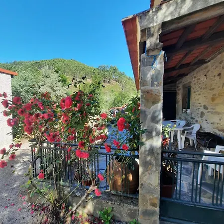 Tatil Evi Casa Penafalcao *