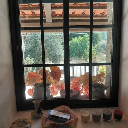 בית נופש Casa Penafalcao קאסטלו בראנקו
