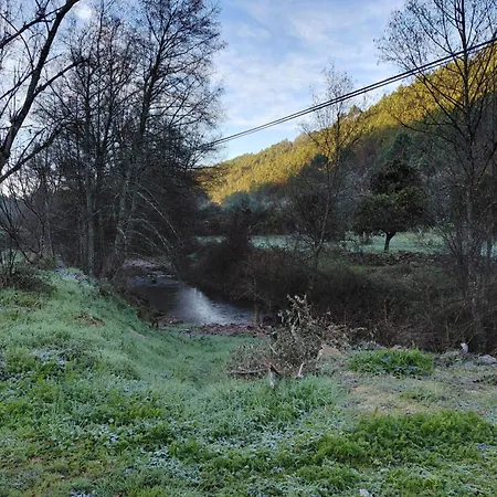 Tatil Evi Casa Penafalcao Castelo Branco (Centro)