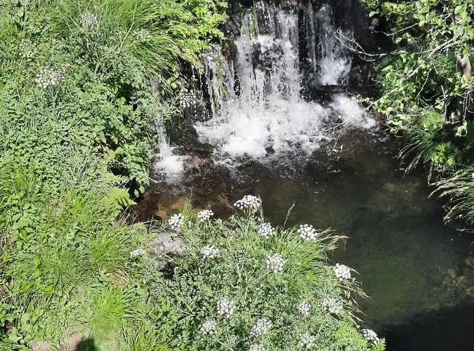 Casa de Férias Casa Penafalcão Castelo Branco (Centro)