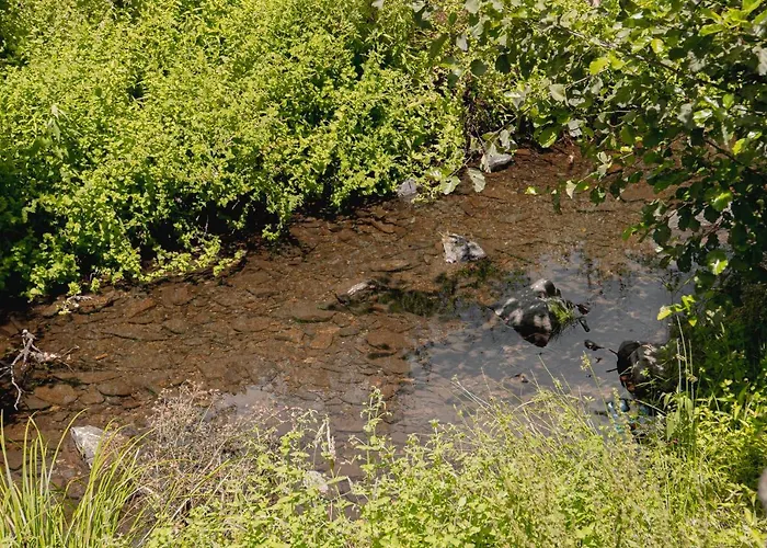 Casa de Férias Casa Penafalcão