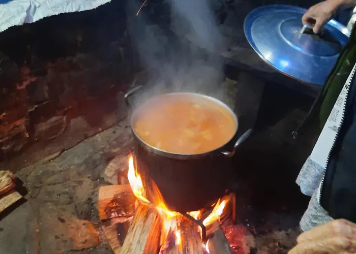 Casa Penafalcão Casa de Férias