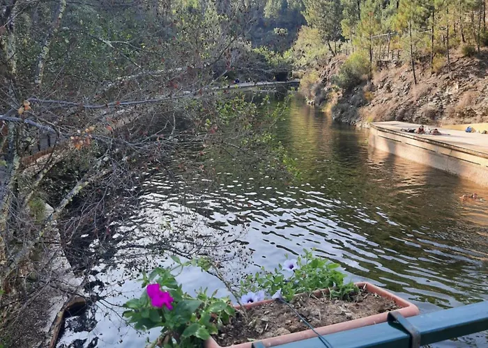 Casa Penafalcão Castelo Branco (Centro)