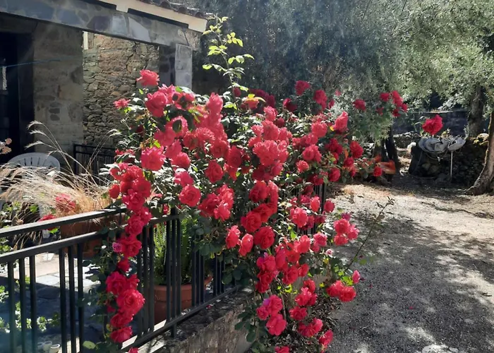 Casa Penafalcão Casa de Férias Castelo Branco (Centro)