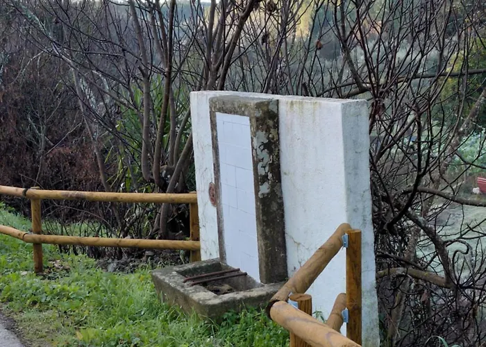 Casa Penafalcão Castelo Branco (Centro)