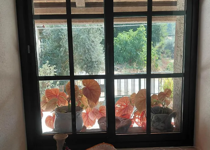 Casa de Férias Casa Penafalcão Castelo Branco (Centro)