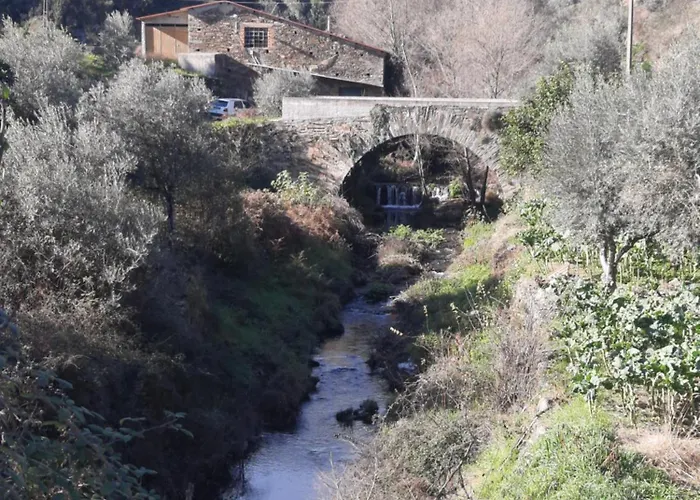 Casa Penafalcão Castelo Branco (Centro)