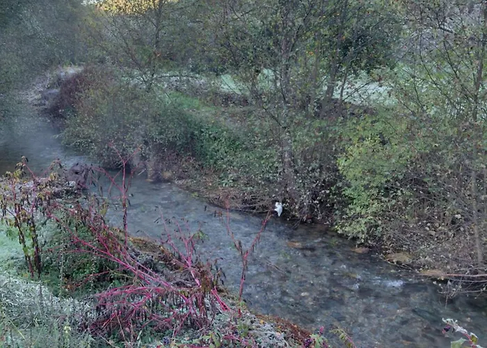 Casa Penafalcão Casa de Férias Castelo Branco (Centro)